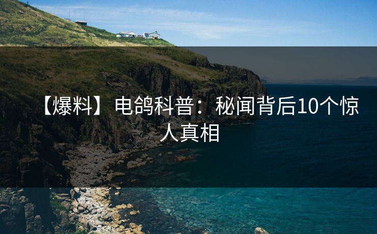 【爆料】电鸽科普:秘闻背后10个惊人真相 【爆料】电鸽科普:秘闻背后10个惊人真相