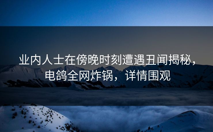 业内人士在傍晚时刻遭遇丑闻揭秘,电鸽全网炸锅,详情围观