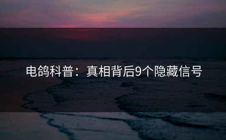 电鸽科普:真相背后9个隐藏信号 电鸽科普:真相背后9个隐藏信号