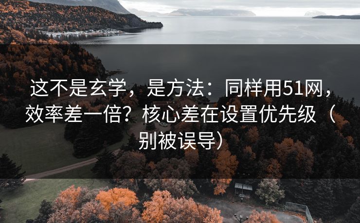 这不是玄学，是方法：同样用51网，效率差一倍？核心差在设置优先级（别被误导）